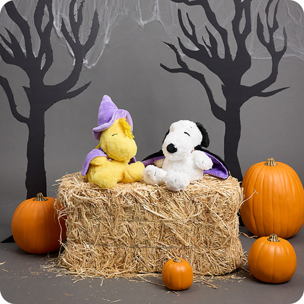 Peanuts™ Bundle - Image 3