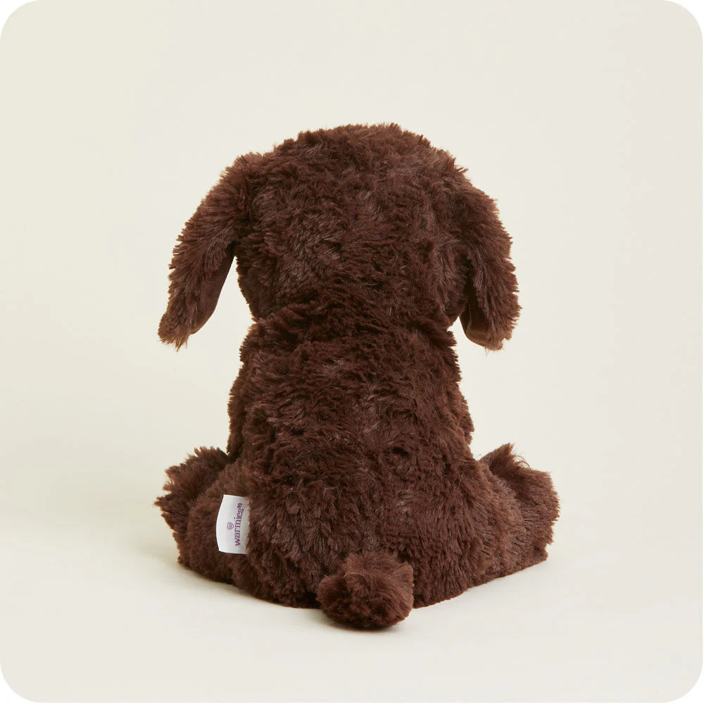 Chocolate Labrador Warmies - Image 7