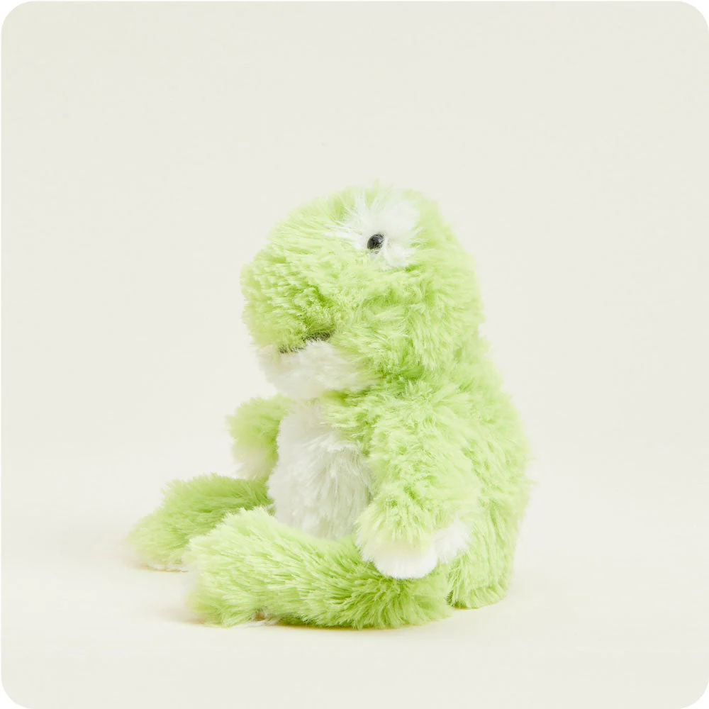Frog Warmies Junior - Image 3