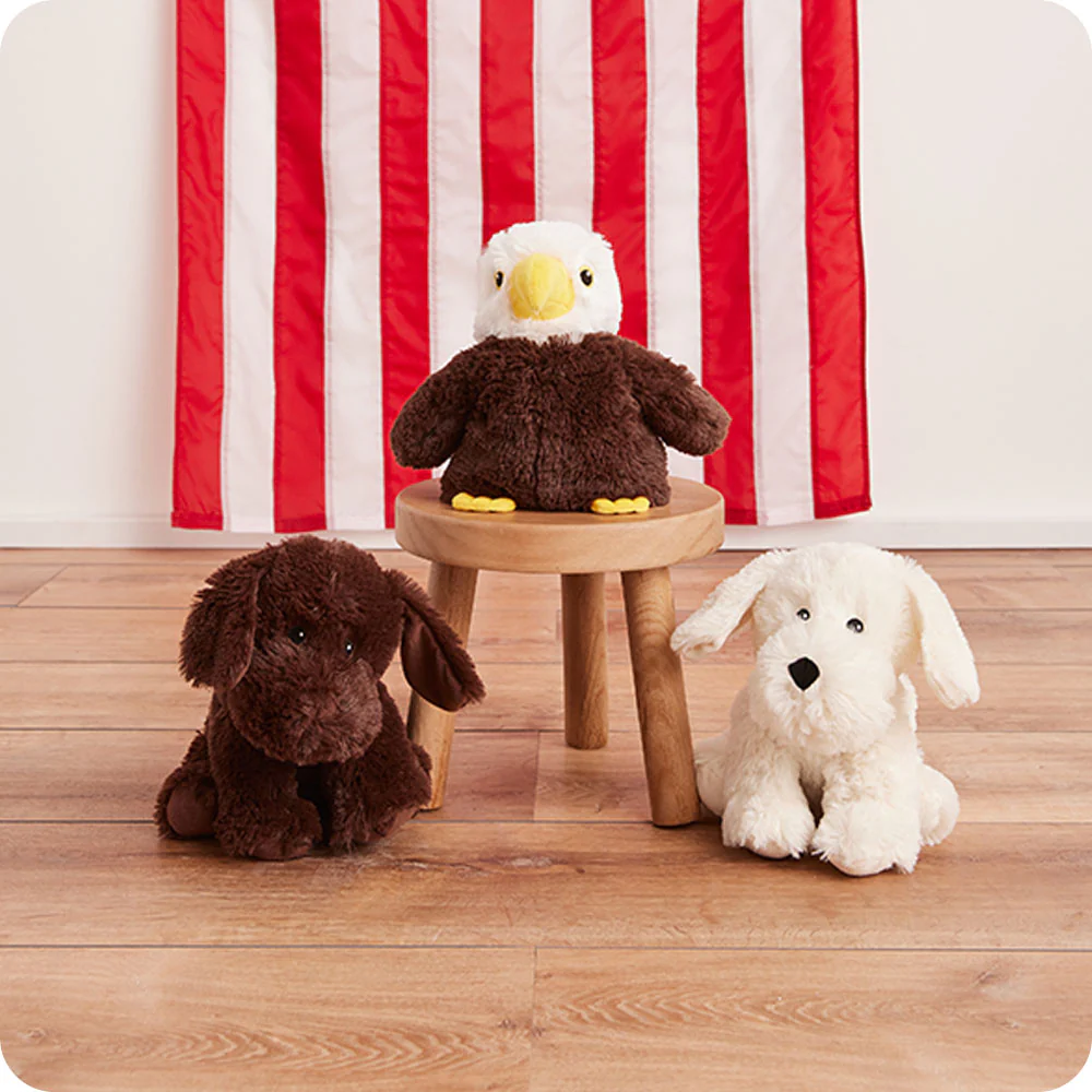 Chocolate Labrador Warmies - Image 3